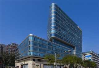 廣西高含量海藻肥營養(yǎng)液