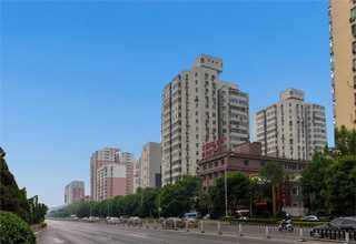 出售胡蘿卜果實(shí)