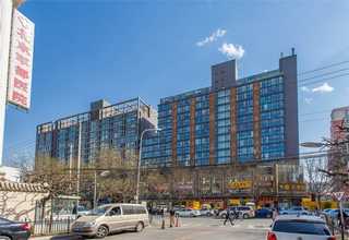 表演武術(shù)培訓(xùn)專業(yè)公司